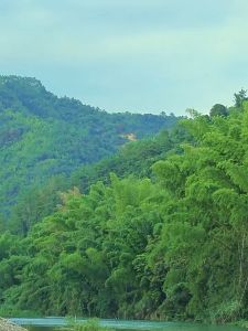 8L Outdoor Large Capacity Thickened Water Bag Foldable Water Storage Bag Vehicle Emergency Water Bag Camping Soft Drinking Water Bag