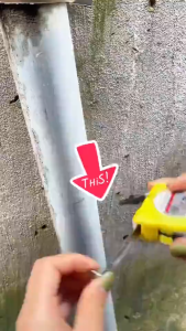 Thước sao chép hình dạng