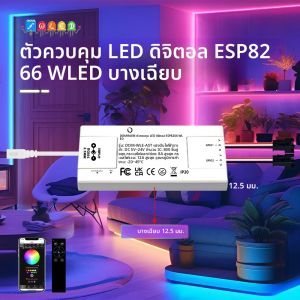 DOMRAEM ESP8266 WLED ดิจิตอล DIY LED Controller - บางเฉียบ 2CH 12A 800 ICs WS2812B/2814/2805 WiFi MQTT/Home Assistant/Alexa