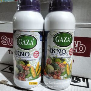 Gaza Kno3 Cair 500 ml - Nutrisi Pembesar Buah dan Umbi Tanaman dengan Silika Pelindung dari Hama dan Penyakit