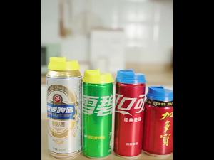 Reusable Leakproof Beverage Can Lid Can Cover Soda Beer Coke Drink Can Lids Protector