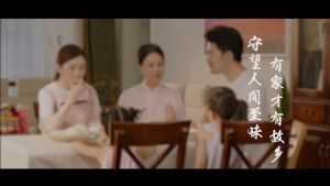 Shandong Wheatun Organic Buckwheat Rice Noodles - Low Sugar Chinese Style Cooking Noodles (PM)