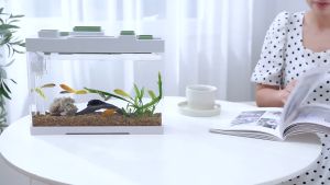 Aquarium Smart Ecological Fish Tank Household Desktop Transparent Goldfish With Lid Tank Turtle Tank With Filter LED Light Water Pump