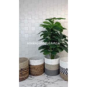 Pohon Hiasan Tanaman Daun Anubias X18 Semilatex Artificial Cover Seagrass Dekorasi Hiasan Pajangan Ruang Caffe Aesthetic