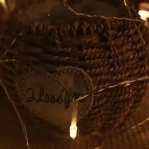 Đèn Led Sài Pin Trang Trí Tiệc Tùng Giáng Sinh Cây Thông Noel TTNTSS102