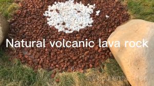 (1kg-25kg) Red Black Lava Rock Filter Media Pasir Malang Batu Stone Soil Cactus Succulent Plant Filter Media Aquarium 红黑火山石 水族过滤
