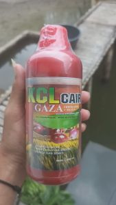 (BAYAR DI RUMAH) KCL GAZA FERTILIZER 500ML Obat padi biar buah berbobot - Obat padi biar buah lebat - Pupuk padi sawah terbaik - Pupuk padi semprot penyubur - Pupuk padi pelebat buah - Pupuk padi umur 2 minggu terbaik
