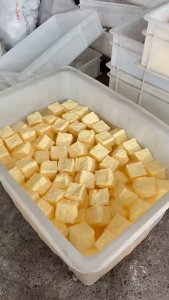 UNRAION Squishy Cheese Vaseline Filled with Coconut Oil for Stress Relief Toy