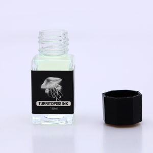 18ml Non-Carbon Magic Invisible Ink For Fountain Glass Dip Pen Creative Fluorescent Ink Gift Stationery