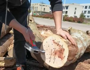 【Bangkok.จัดส่ง 24 ชม.】โซ่เลื่อยยนต์ 4 นิ้ว / 6 นิ้ว / 12 นิ้ว / 16 นิ้ว / 20นิ้ว ไม้ โซ โซ่ โซ่เสือ เครื่องเลื่อย เลื่อยยนต์ อะไหล่เครื่องเลื่อย