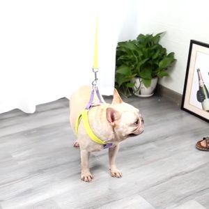 High Quality Dog Leash Pet Harness Adjustable Leash For Dog Outdoor Dog Essentials Pet Accessories