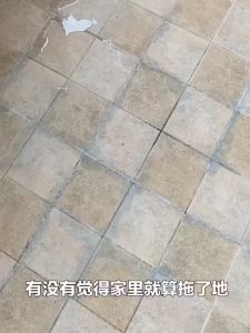 （SG Stock) Floor cleaner Ceramic/Marble wall and floor tile dirt remover|500ml Stains remover| mold remover cleaner Ceramic/marble wall瓷砖黑缝清洁剂 瓷砖清