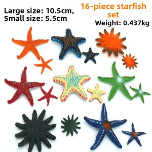 Educational Decorative Sea Star Model