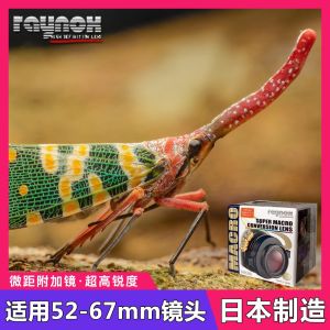 กล้อง SLR raynox dcr250ญี่ปุ่นเลนส์มาโครใกล้เลนส์อะแดปเตอร์เลนส์แว่นขยาย52-67มม.