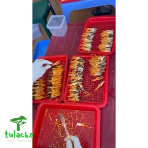 [LOẠI NGUYÊN CON] Đông Trùng Hạ Thảo Khô Sấy Thăng Hoa (lọ 20 con) Ký Chủ Nhộng sâu Nấm Đông Trùng Hạ Huy Cương Lai châu.