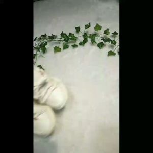 (LOLI-JKT) SP- 2866 SEPATU SNEAKERS ANAK TALI BESAR BAHAN BAGUS SIZE 21-36