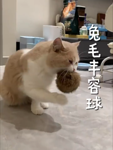 Interactive Cat Toy Rabbit Fur Ball with Catnip Galls Stress Relief Fun Play for Kittens and Dogs Safe Pet Toy