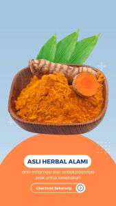 Kunyit Bubuk Induk Asli 100% dari Bahan Pilihan Kunyit Toples