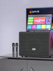 soaiy | Portable With Screen Karaoke Machine