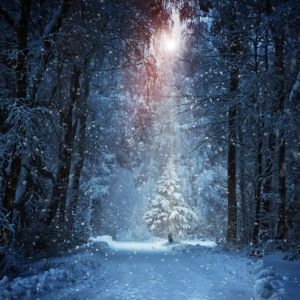 Melani Minyak Kemiri Hijau Botol Plastik 100 ml Wangi & Menyuburkan Rambut