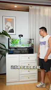Ultra-Clear Glass Fish Tank | Narrow Aquarium with Integrated Bottom Filter | 50/60cm | Space-Saving Fish Tank