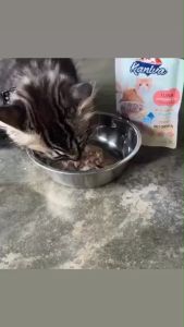 ( 12 ซอง ) Kaniva Steam Egg อาหารเปียกแมว ในไข่ตุ๋น เนื้อนิ่ม ทานง่าย ตัวแน่นด้วยโปรตีนจากไข่ ขนาด 70g ( 12 ซอง )