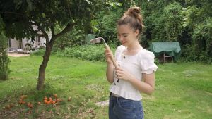 Berry & Bird Stainless Steel Weeding Hoe - Durable Ergonomic Tool for Effortless and Efficient Weeding Soil Cultivation and Garden Maintenance