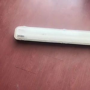 Philips | Đèn Trần Chống Nước Chống Bụi
