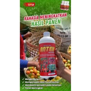 Pupuk antek spesial 1 liter anti Patek anti daun keriting