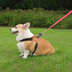 Pet Chest Strap Harness Step In Dog Harness Straps Adjustable Pet Harness for Small Medium Dogs Vest with Safety Buckle Y shape Dog Harness Leather and nylon materials