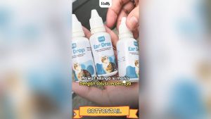 Raffs Pet Obat Tetes Telinga Hewan 30ml / Ear Drop for Animal