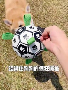 บริษัทที่นี่ ของเล่นสุนัขบอลของเล่นฟุตบอลแบบโตตอบสุนัขกลาง จาก ฝึกอบรมในร่ม ของเล่นฟุตบอล Bite Chew Ball
