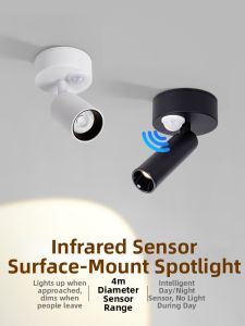 DENGFU | Motion Sensor Smart Hallway Entrance Light