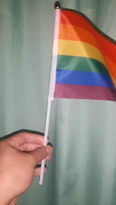 Rainbow Flag LGBT Solid Color/Rainbow/Racing Hand-Cranked Mini Square Flag Square Mini Hand Flag
