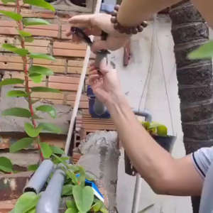 Kéo cắt ống nhựa PVC ống 32mm kéo cát cành cây đa chức năng phiên bản mới nhất