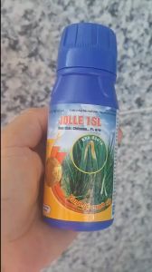 chai phân bón lá Jolle 1sl 100ml - Chitosan 1% sọc lá và cháy lá khô đầu lá hành