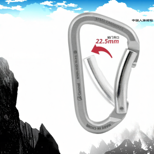 Camnal | D Shaped Climbing Lock