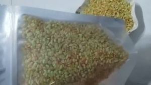 CỐM NẾP NON RANG GIÒNCỐM NẾP THƠM NGON GIÒN RỤM 1 KG Sản Phẩm Tự Nhiên Không Phụ Gia Cốm Khô Làm Món Xôi Chè - Lazada