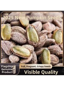 Fresh Large Seed Melon Seeds Snacks
