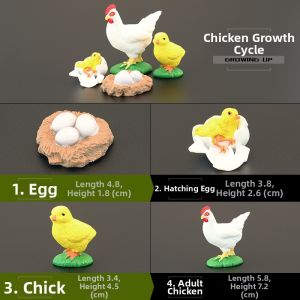 MENGSILE | Solid Childrens Realistic Animal Model Chicken