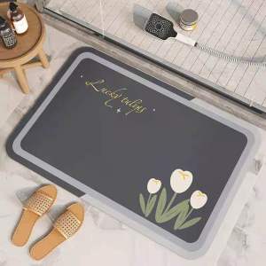 2in1 Kitchen floor mat/Bathroom sink absorbent non-slip mat/quick-drying/entry mat