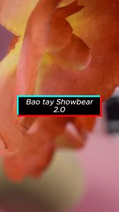 Bao Tay Chơi Game Siêu Cao Cấp SHOW BEAR chơi ff Pubg Liên Quân.... chống mồ hôi tay chống trượt co dãn cực tốt