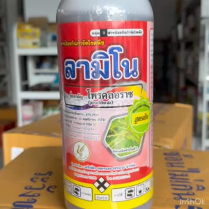โพรคลอราซ 45 ลามิโน (สูตรเย็น)  กำจัดโรคพืช กำจัดเชื้อรา แอนแทรคโนส กาบใบแห้ง ราดำ โรคเน่า กุ้งแห้ง 1 ลิตร # เจอราจ