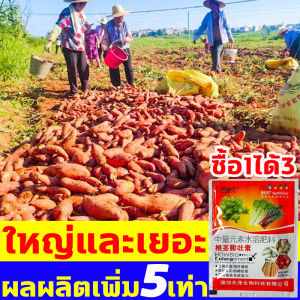 ปกป้องผลไม้ 90g ชุดพิกากรณ์ 3 ธาตุอาหารรวม 16 ให้โภชนาการแก่ผลไม้ 5 เท่า ธาตุอาหารรองเสริม 6 ตัว หัวไชเท้า ผลไม้ทุกชนิด ธาตุอาหารรอง 90g