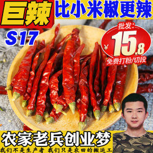 Super Spicy MilletPepper Little Devil Pepper Hot Spicy Bhut Jolokia Spicy Super Spicy Small Dry Red Chilli Dry Chili Segment/Powder 50G