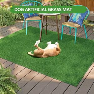 Karpet Rumput Sintetis Berkualitas Tinggi: Pilihan Ideal untuk Ruang Tamu & Hewan Peliharaan