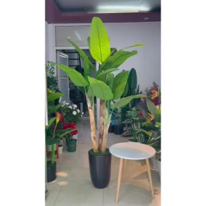 Cây chuối cảnh giả - Cây chuối quê - Size từ 150cm- 200cm - Cây giả hoa lụa Decor trang trí nhà cửa