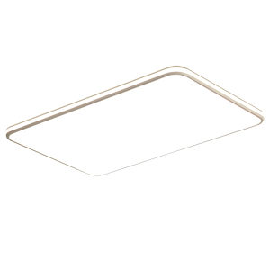 Chigo | Living Room Eye-Protecting Ceiling Light Modern and Simple Style