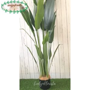 Pohon Hias Tanaman Imitasi Daun Pisangan Heliconia T210 Latex Pot Dasar Hitam Dekorasi Ruang Tamu