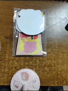 Puzzle Felt Sistem Pencernaan Manusia / Mainan Montessori Organ Tubuh Edukasi / Human Body Activity Kit